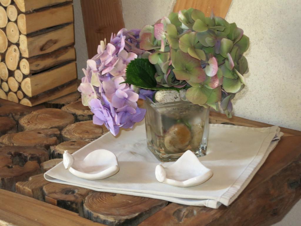 Bed And Breakfast La Fontaine Blanche Melgven ภายนอก รูปภาพ
